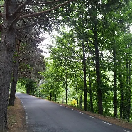 La Calleja 아파트