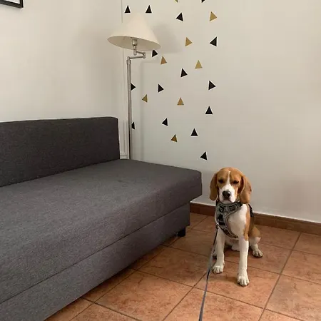 아파트 La Calleja *