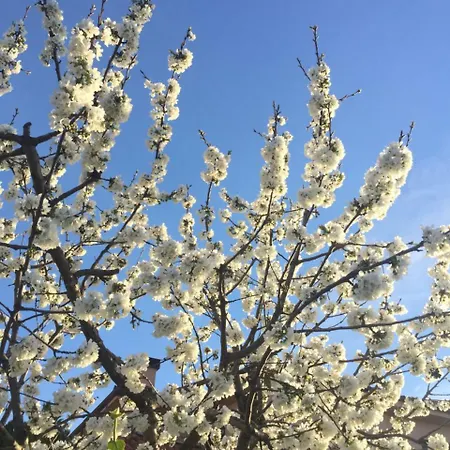 La Calleja 아파트