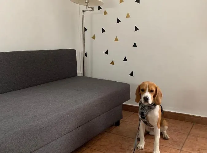 Апартаменты La Calleja *