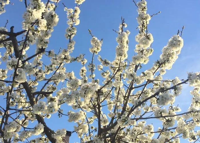 La Calleja Апартаменты